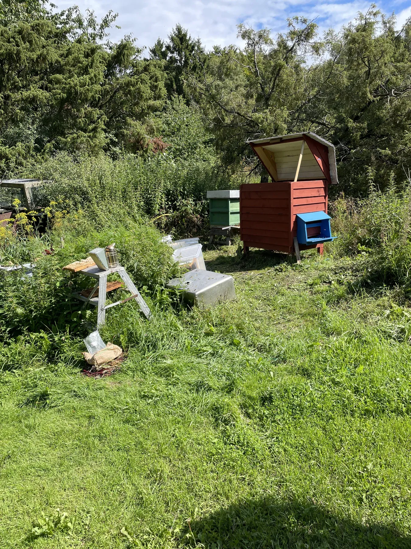 The beehive in a summer meadow