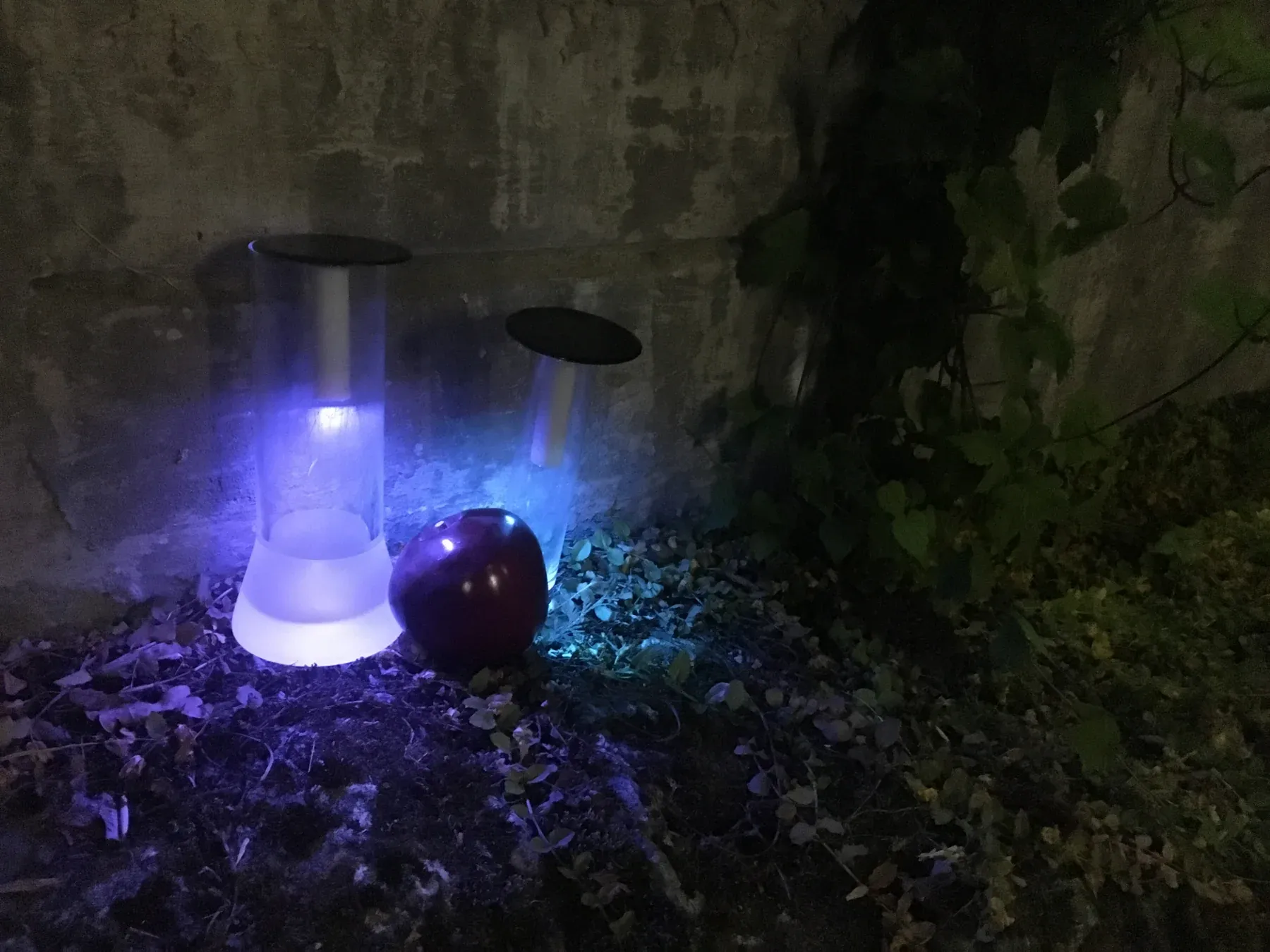 A solar bottle lamp in the dark garden